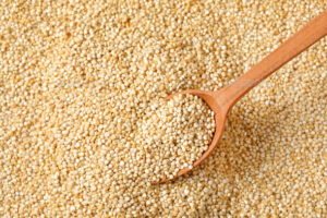 All about White Quinoa Bold (Bold Quinoa)